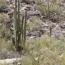 arizona from kells camera - IMG_2948